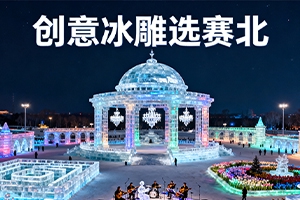 國內(nèi)冰雕制作公司哪家好？賽北冰雕5大選擇標(biāo)準(zhǔn)解析